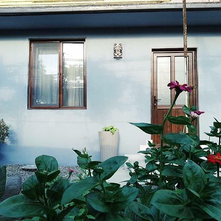 Apartamento Rudolf Borjomi Exterior foto